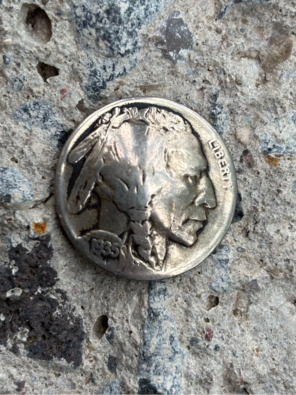 Vintage Buffalo Nickel Conch!